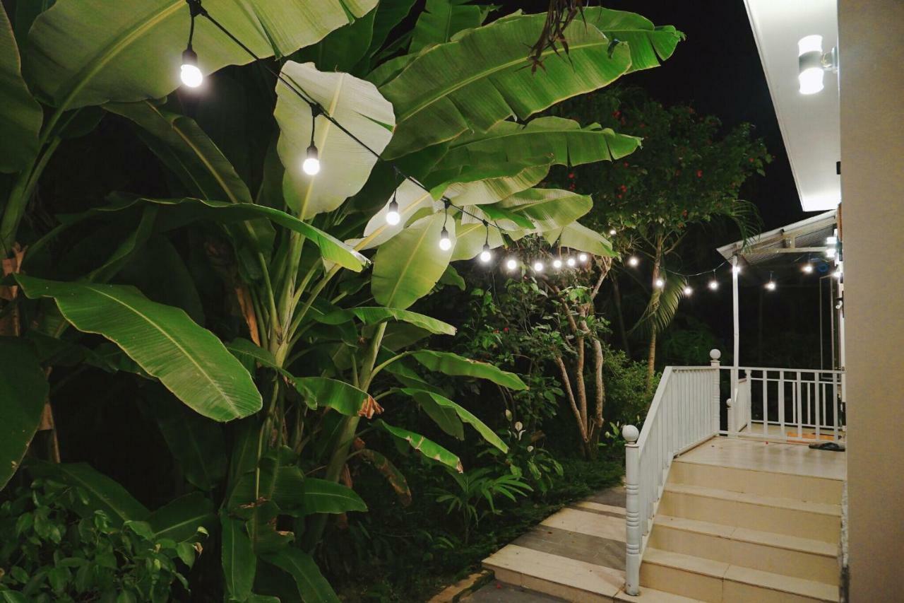Longan Homestay Hoi An Dış mekan fotoğraf