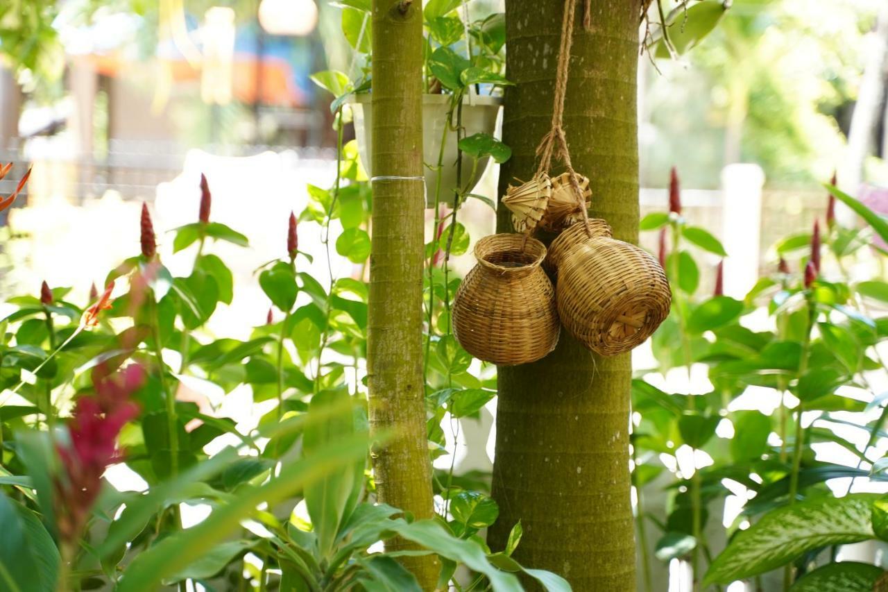 Longan Homestay Hoi An Dış mekan fotoğraf