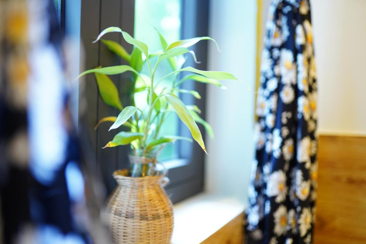 Longan Homestay Hoi An Dış mekan fotoğraf